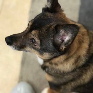 Meet your Posher, Jake